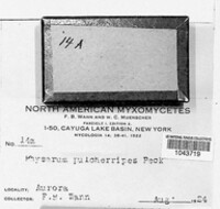 Image Associated With the Occurence